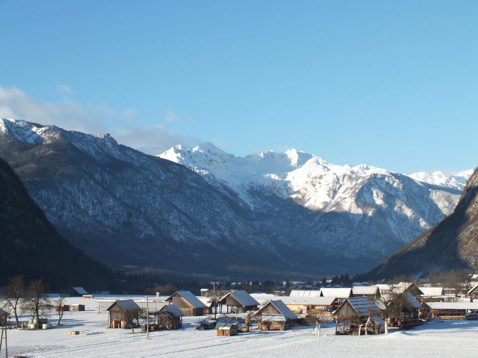 Apartment Tina Bohinj Pokoj fotografie